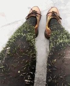 这个,我想在看的没有人不知道吧