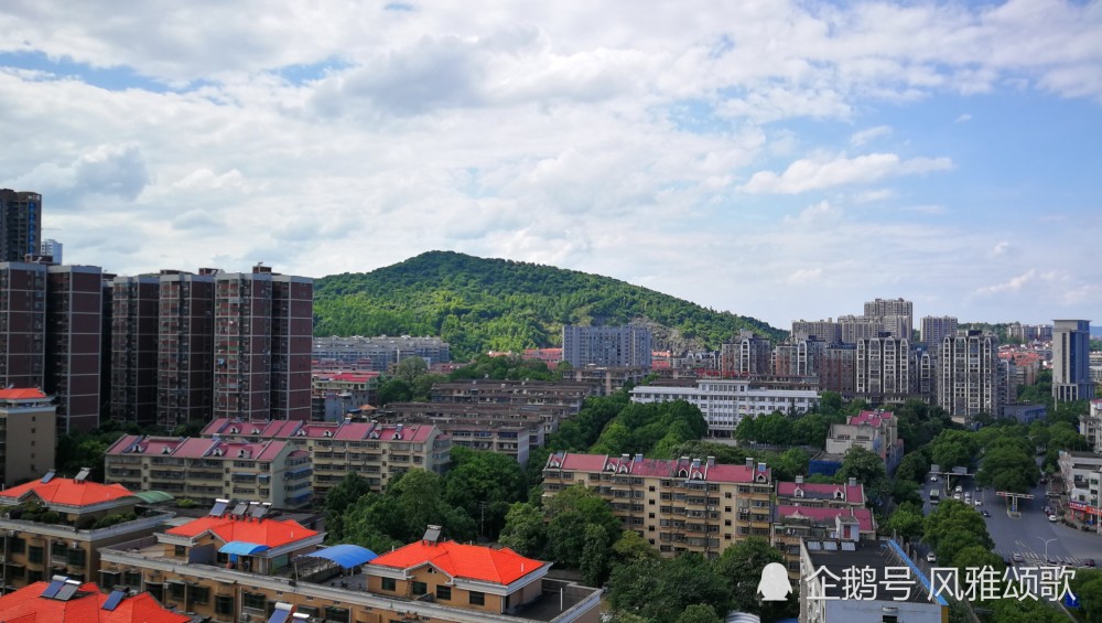 致敬,我的林邑福城
