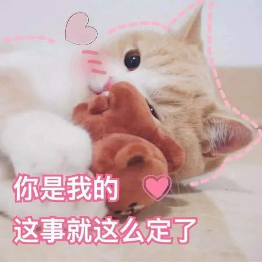 社会老哥 撩妹表情包:要找对象冲我来,嫁给别人算什么