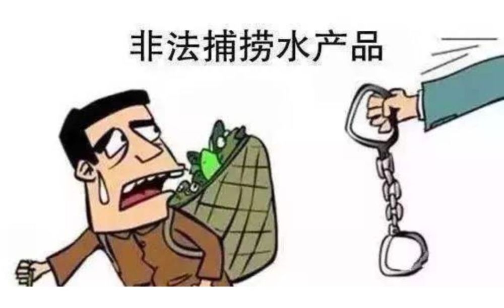 《中华人民共和国刑法》,犯罪事实清楚,证据确实,充分,应当以非法捕捞