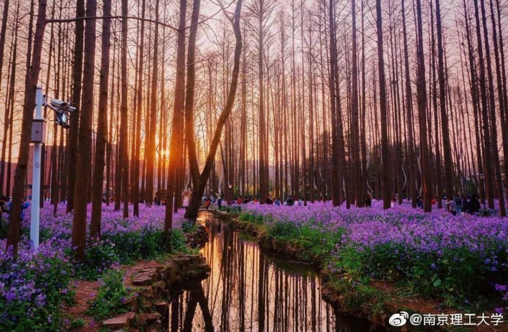 蓝天白云飘逸 ,在这个慵懒的午后 @南京理工大学 其实理工的风景一年