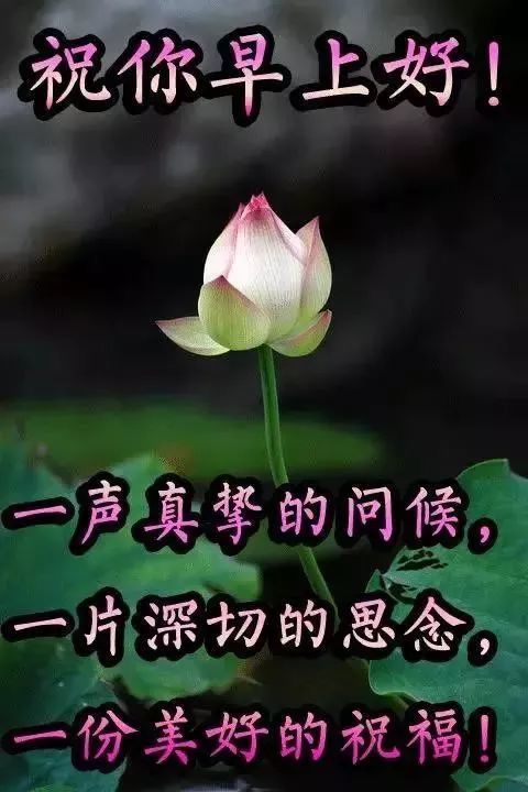 周六清晨暖心的早安问候祝福语动态图片,最美早安祝福