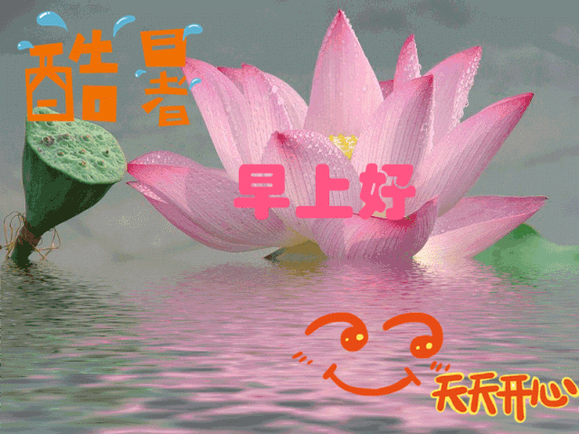 夏季早上好问候祝福图片 早安问候语图片带字温馨2020