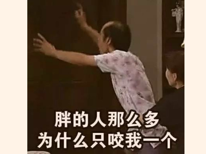 真正的死亡地带:一巴掌能拍死50多只蚊子,7只军犬失去