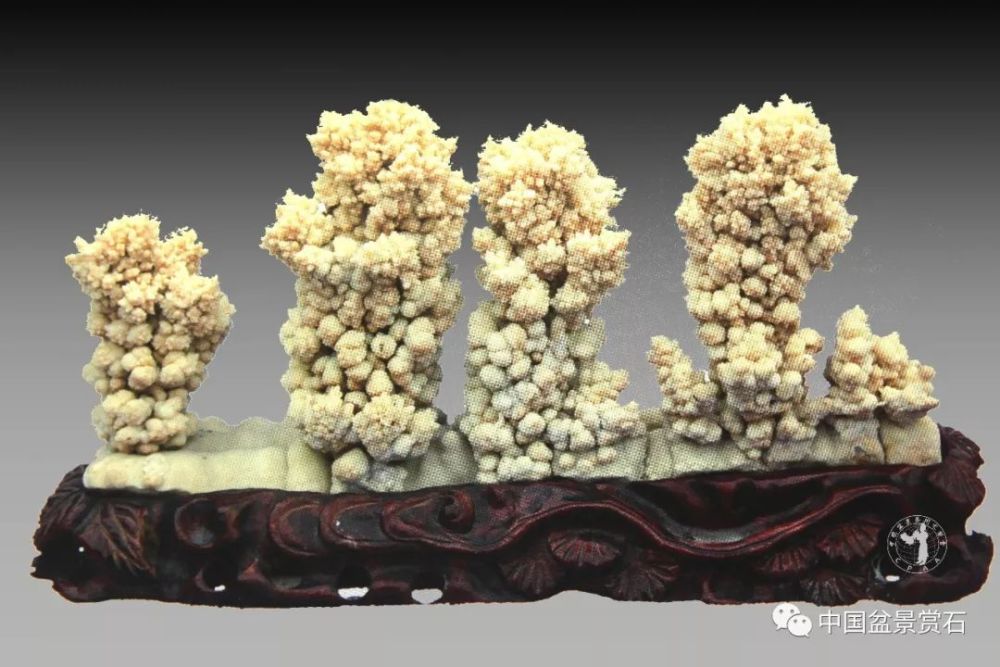 "石花烂漫"钟乳石 长30cm高18cm 宽8cm