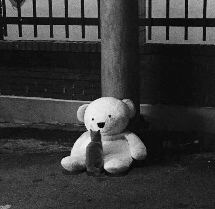 小猫守护在被丢掉的玩具熊旁边,有些伤感呀,同样都是被抛弃,孤苦无依.