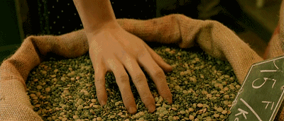 au marché de la butte (市场杂货铺) 遇见第一站 艾米莉公寓旁边的