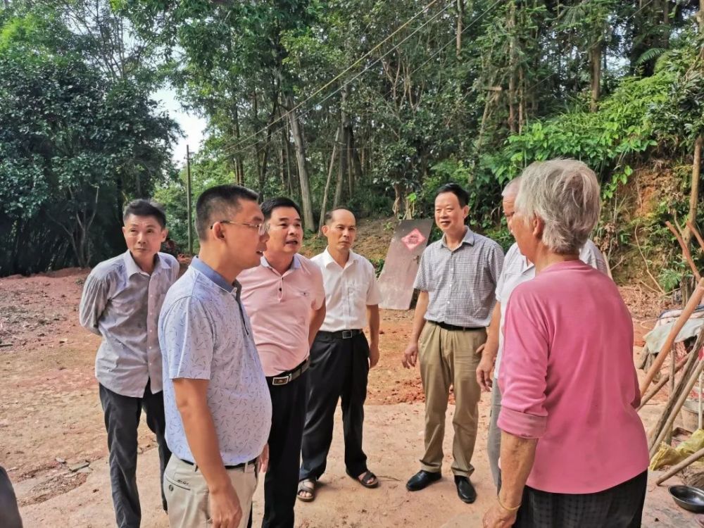 分别由刘奕副院长带队到铁场镇塘江村,叶福文纪检组长带队到麻布岗镇