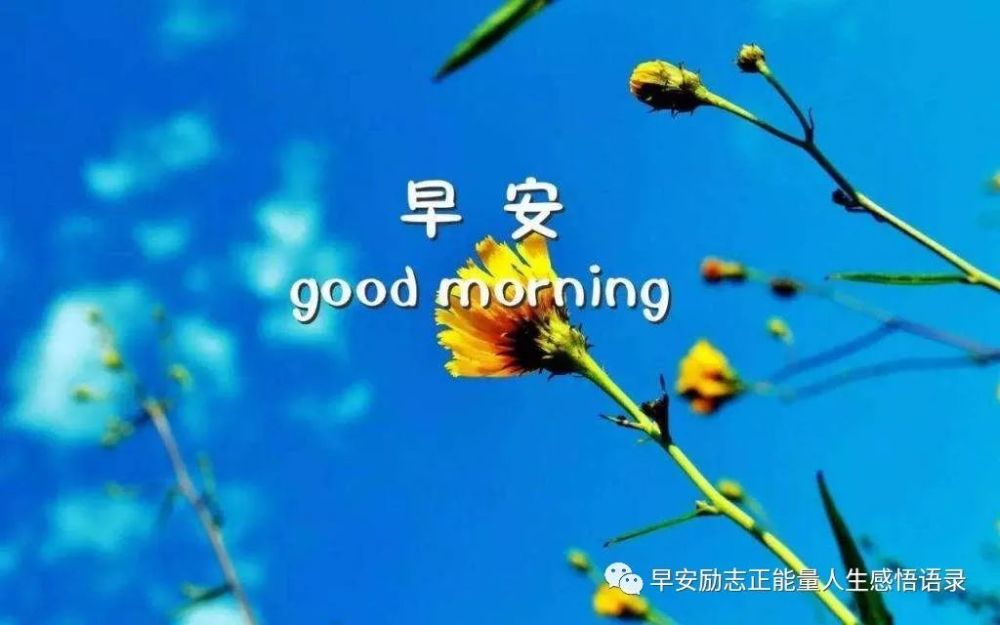 充满哲理的早安心语简单一句话