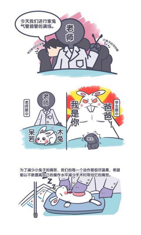 医学生漫画再现趣味学医日常 想报考医学的高考生一定