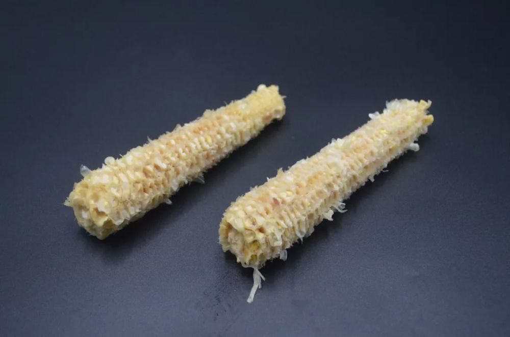 玉米棒的妙用二:防止植物烂根