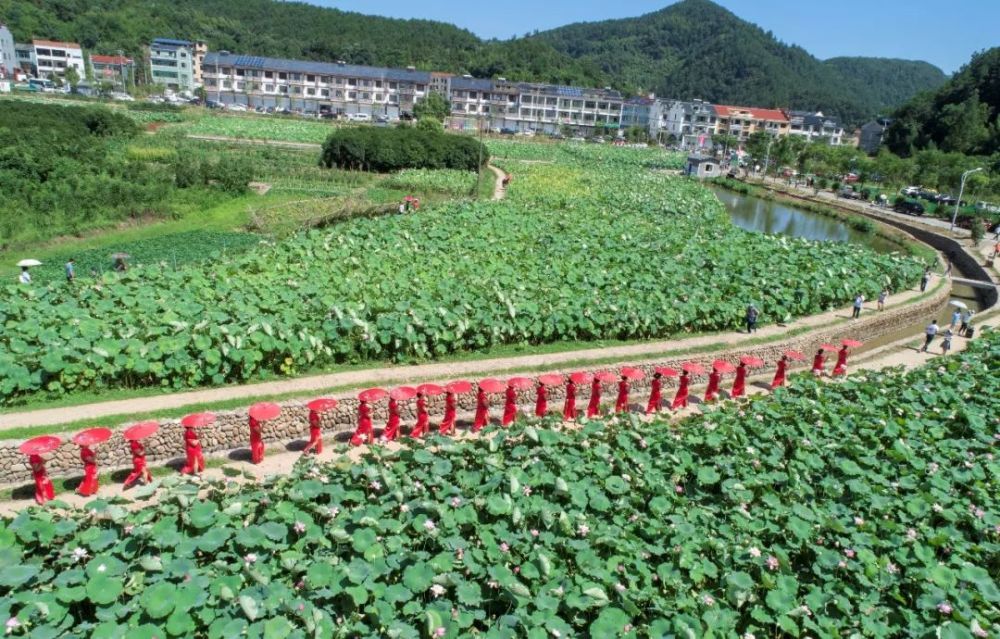 绍兴诸暨十四都村:神奇古村落,焕发新活力