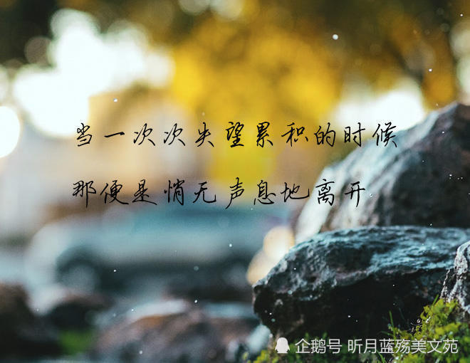 人心经不起冷落,真情经不起敷衍