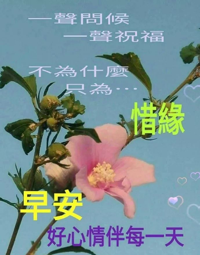 清晨暖心早安问候祝福语录大全 早晨问候早上好动态表情图片动态