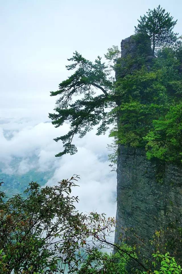 不必黄鹤楼，不必武大樱花，湖北这25处美景地，你去过多少？