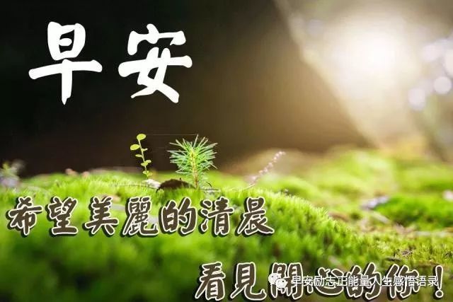 最美早上好问候祝福表情图片 清晨给朋友的早安祝福语