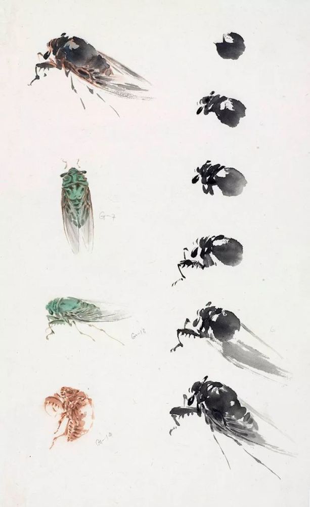国画大师萧朗在教画时的画稿,收藏!