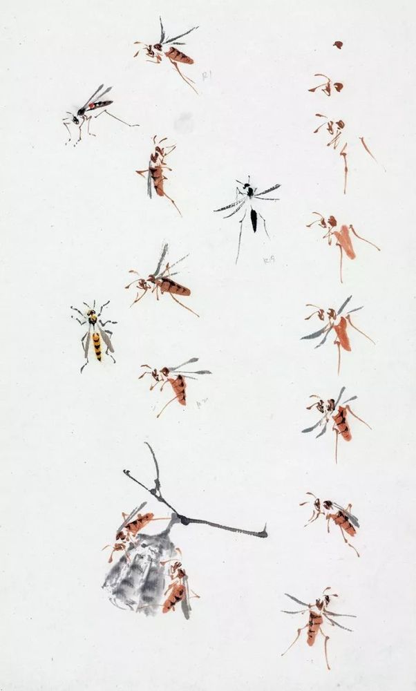 415.蜻蜓画法-1995