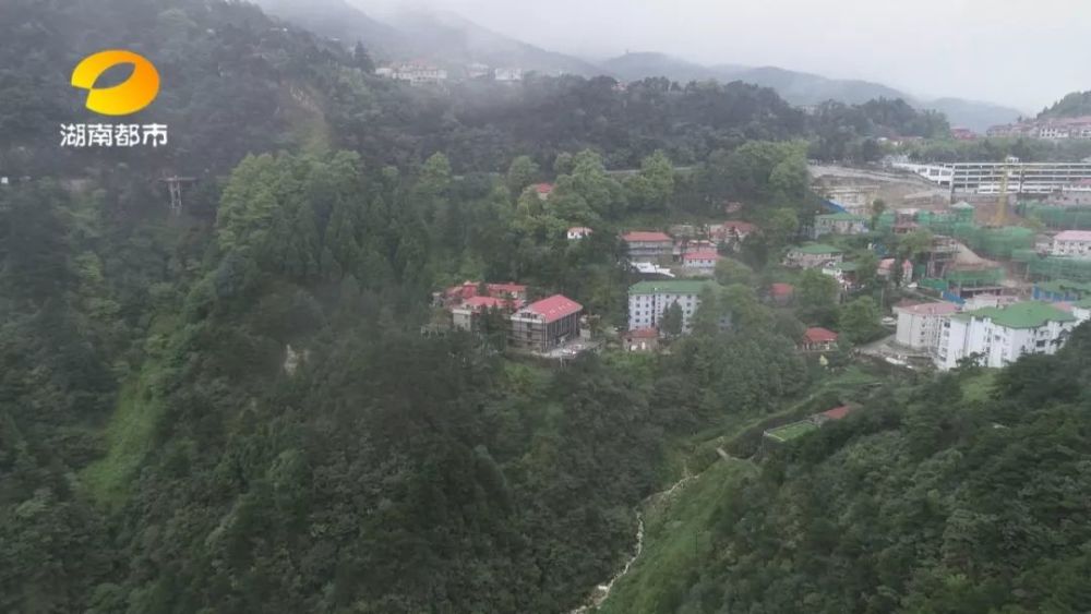 长沙这个超大森林公园年内启建,鸟语花香,还有水上游乐园