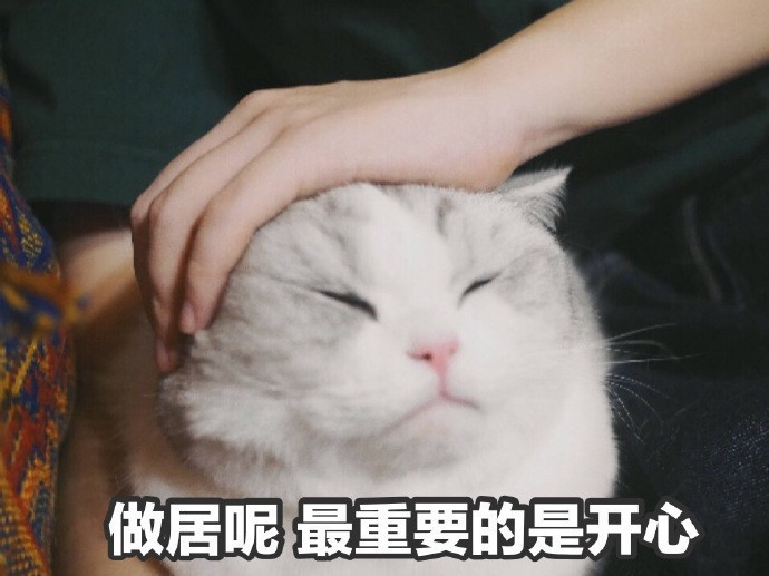 可爱萌宠猫咪搞笑表情包:为了生活,低声下气