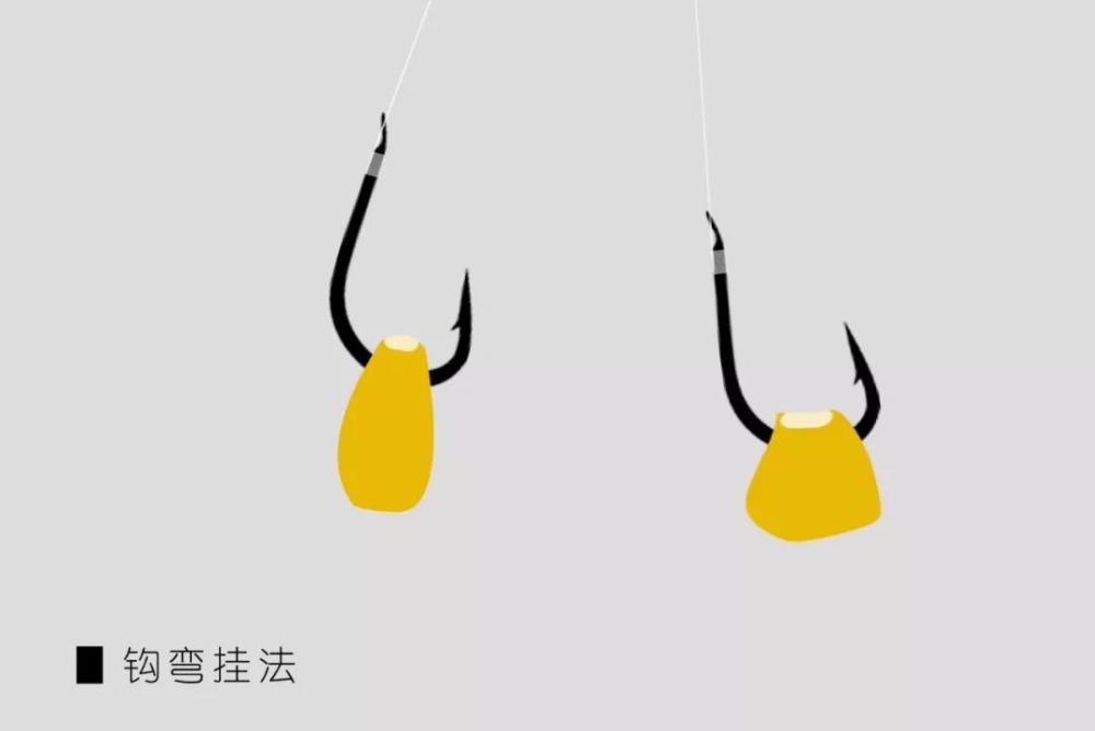 很多挂玉米的图片还在沿用多饵挂钩的错误方法,钓友们注意甄别.
