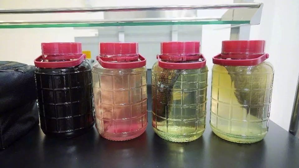 有人做实验说可乐"溶解"鱼,真相是