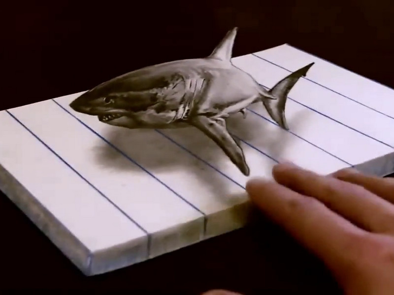 美术生画3d鲨鱼,开始被吐槽"胖成球",裁掉画纸后打脸了!