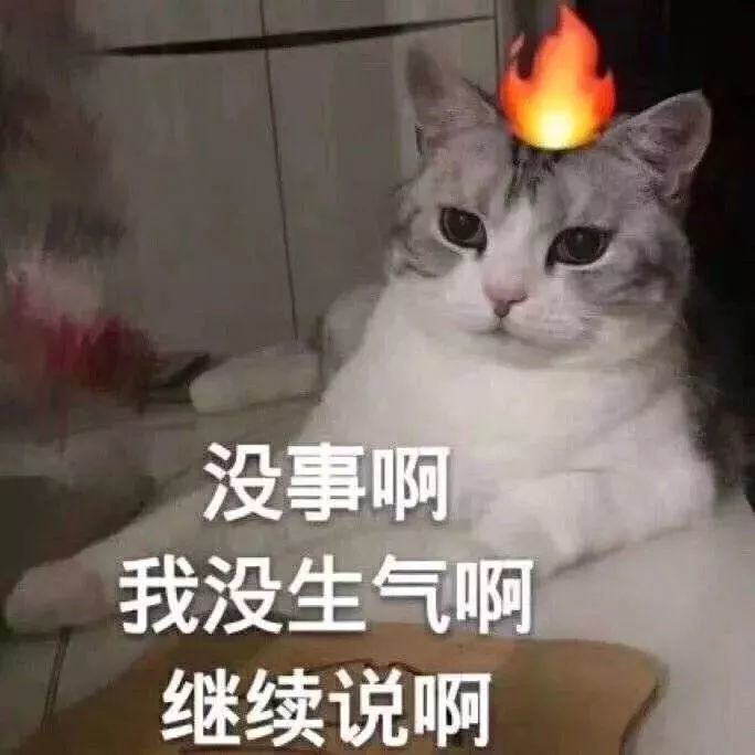 上一个这么让我生气的人坟头草已经可以放牛了(熊猫头怼人表情包)