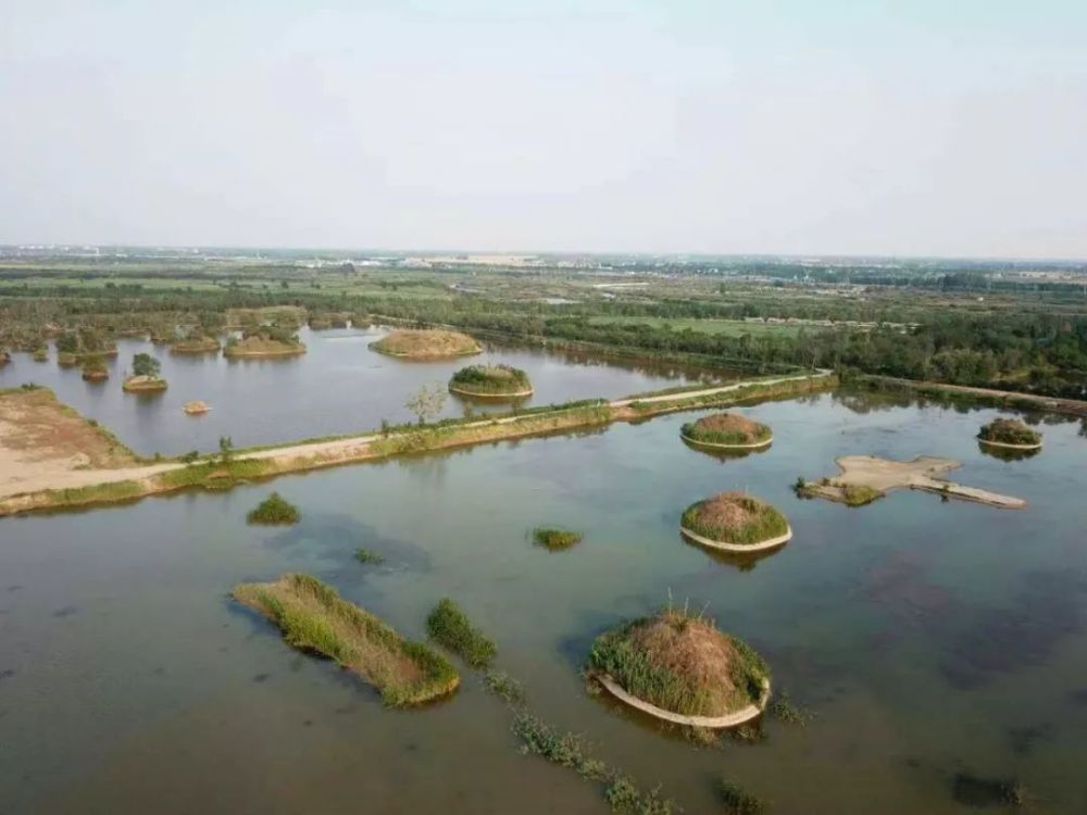 鲁西大湿地齐鲁千岛湖——带你身临其境