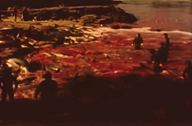 人类隔离才几天，河水清了，空气好了，动物回来了