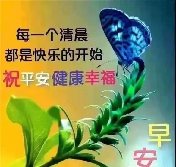 非常漂亮早安图片问候祝福语短信,早上好唯美动画祝福