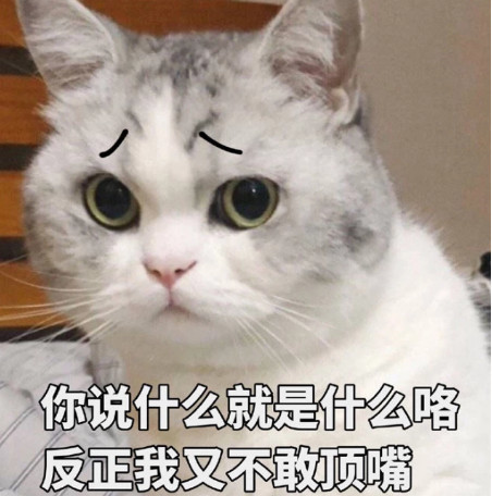 萌宠猫咪可爱表情包:你说什么就是什么,我又不敢反抗!