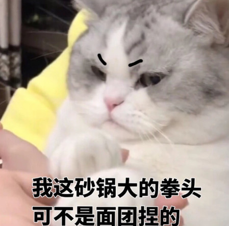 萌宠猫咪可爱表情包:我这砂锅大的拳头可不是面团捏的
