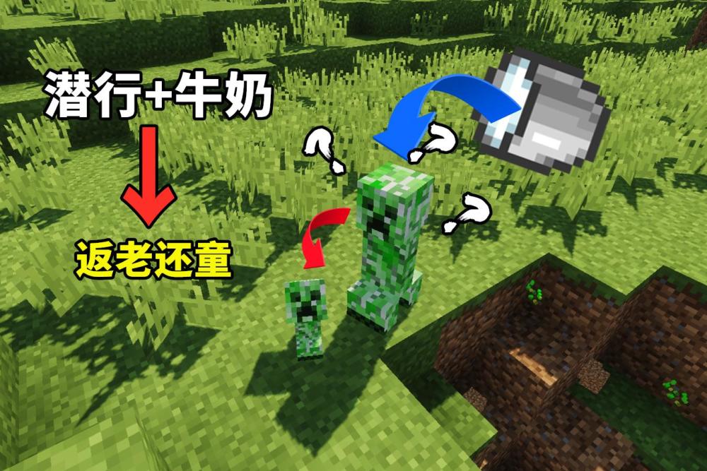 我的世界:牛奶可以让生物还老返童?女巫没锅高,但你惹不起