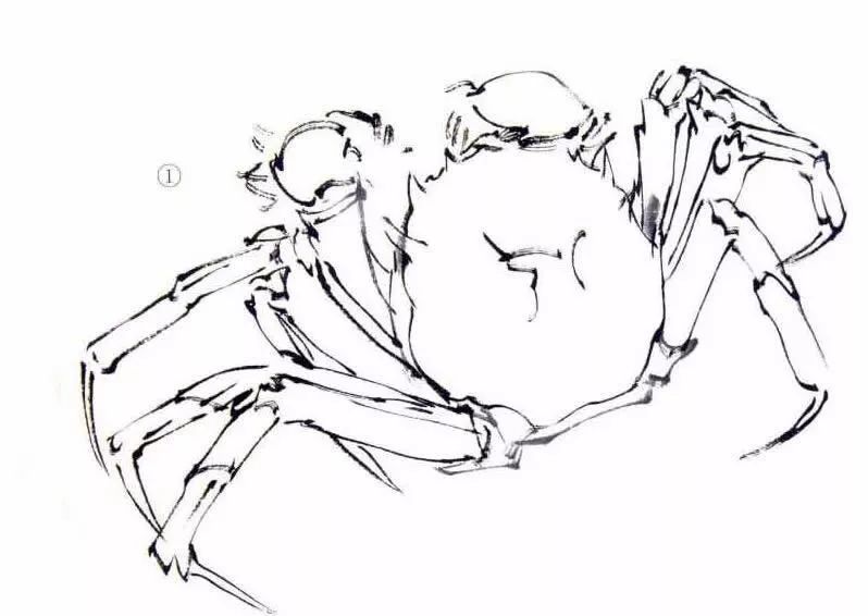 国画鱼虫7-鲦鱼,螃蟹画法太好了收藏慢慢看