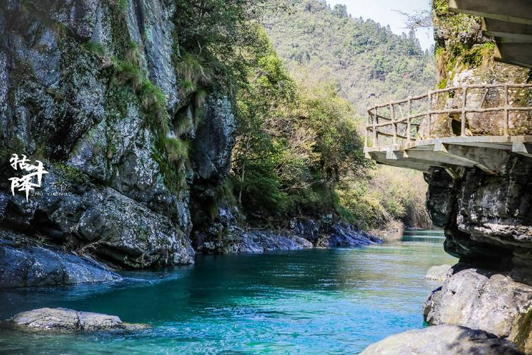 黄山市,旅游,翡翠谷,安徽,景区,牯牛降