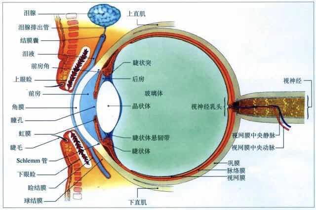 15岁男孩视网膜脱落,竟因这件小事…痛心!