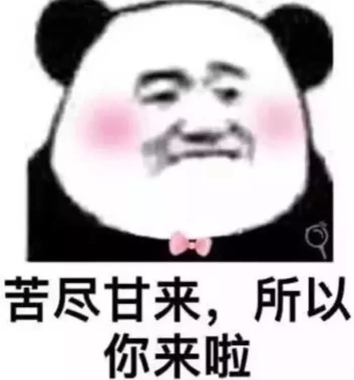 表情包,撩妹,情侣