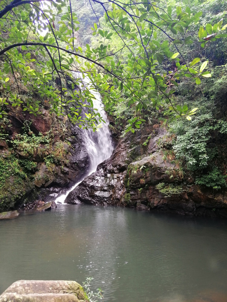 风景,公园,深圳,坪山