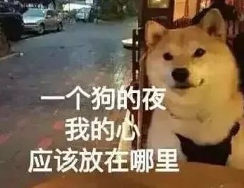 单身狗的表情包居然都是这样的,看看你中招没