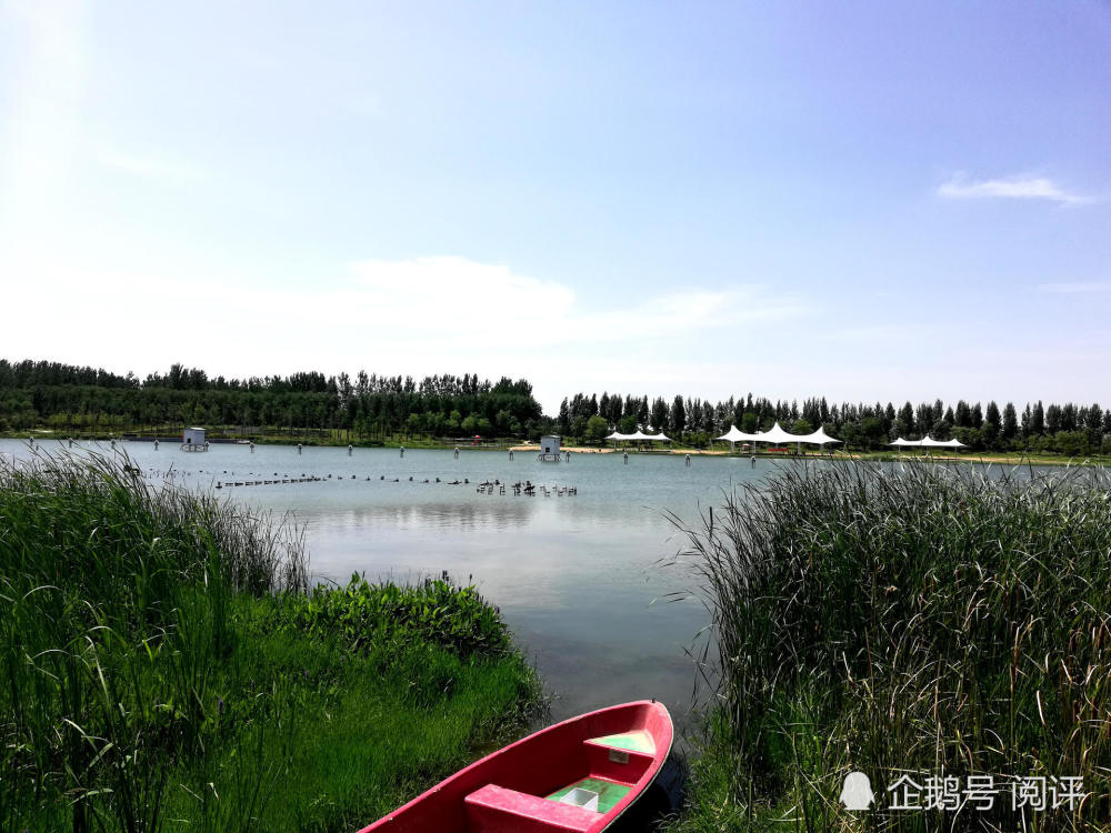 早就听说许昌东区有个秋湖湿地公园,一直没时间去看.