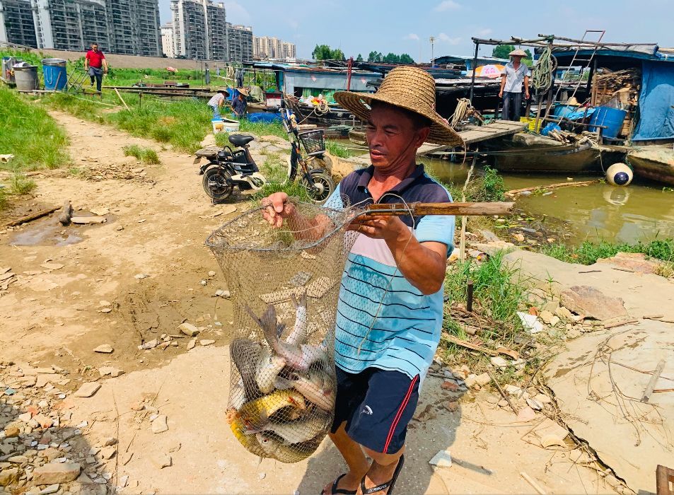 禁渔期昨天正式结束,来三水吃河鲜啦!