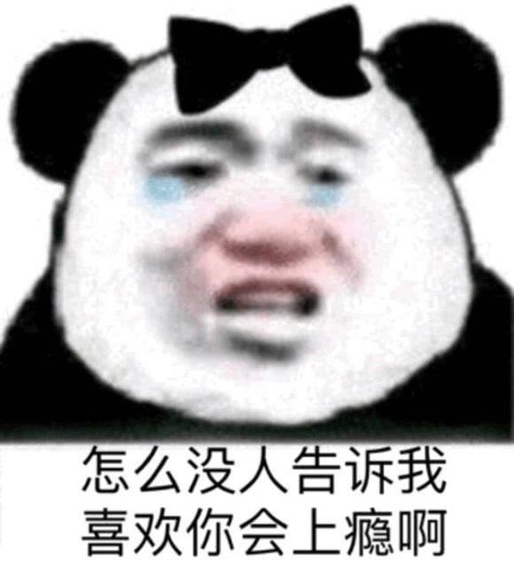 熊猫头搞笑表情包:我行了我好了,我已经没有大脑了!