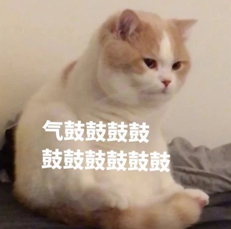 萌宠猫咪可爱表情包:我不找你并不代表我就不想你!