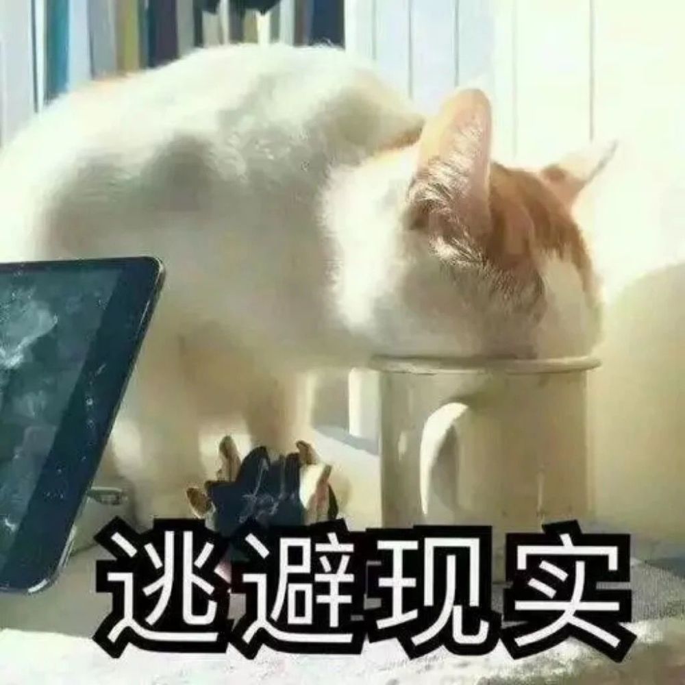 不想理你了,女朋友委屈卖萌表情包