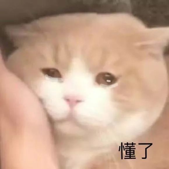 表情包:难道我就不可怜吗