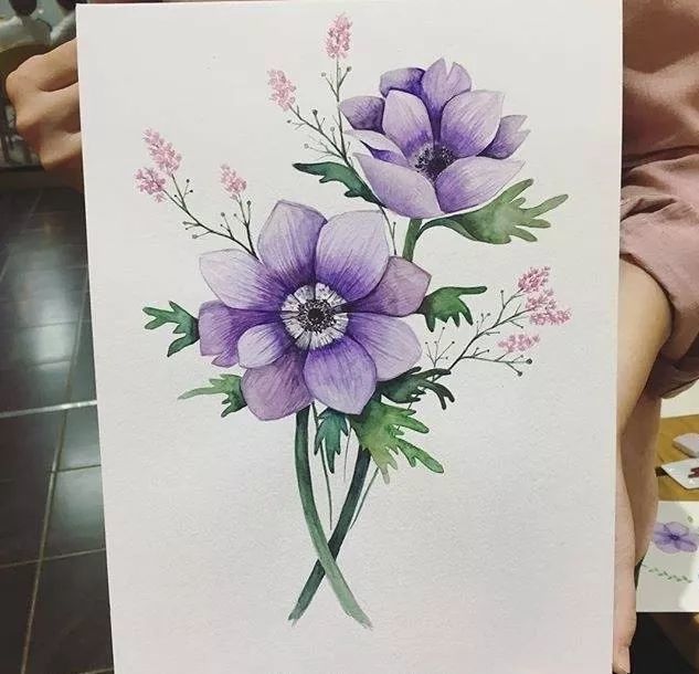 插画:超漂亮的水彩花卉绿植,学水彩一定要临摹她的画儿