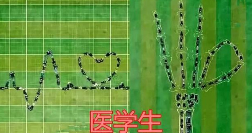 最后这个是医学生,小编被他们的创意萌的不行.