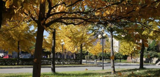 鞍山师范学院,高校,鞍山,大学,辽宁科技大学