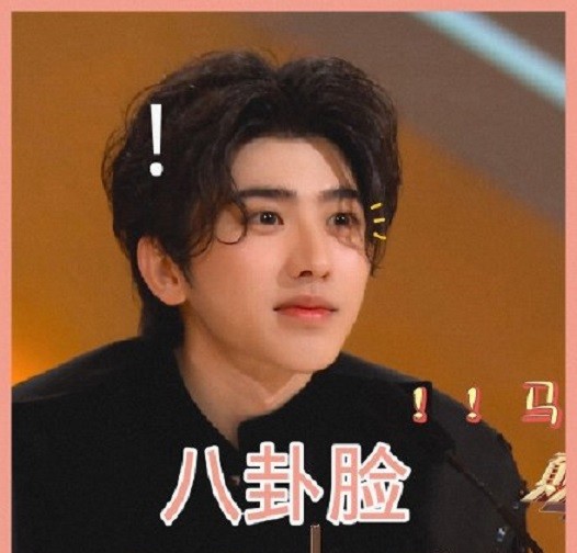 蔡徐坤表情包:小葵的搞笑天赋满分,就静静看他表演!